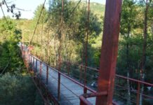 Carriages from the Harem