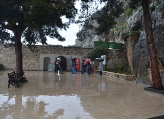 Abbreviations Used in This Book